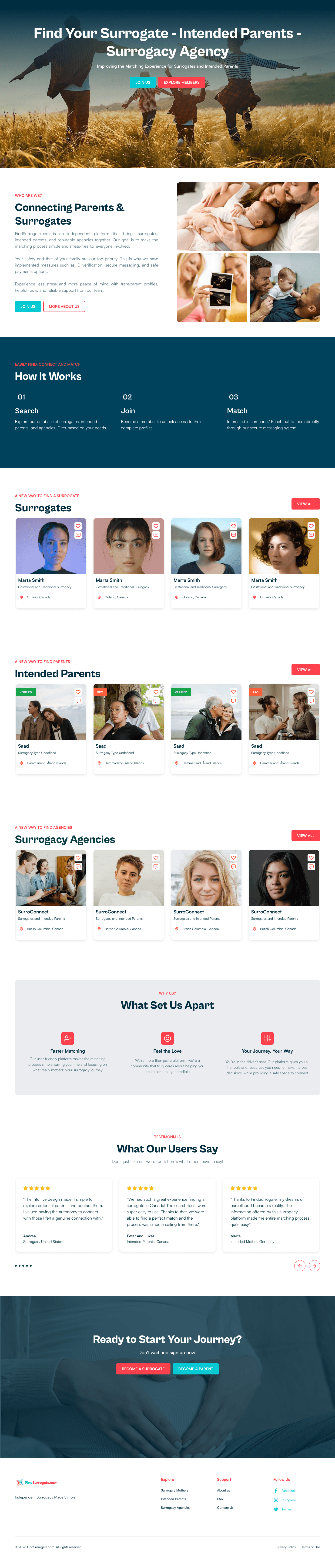 Find Surrogate