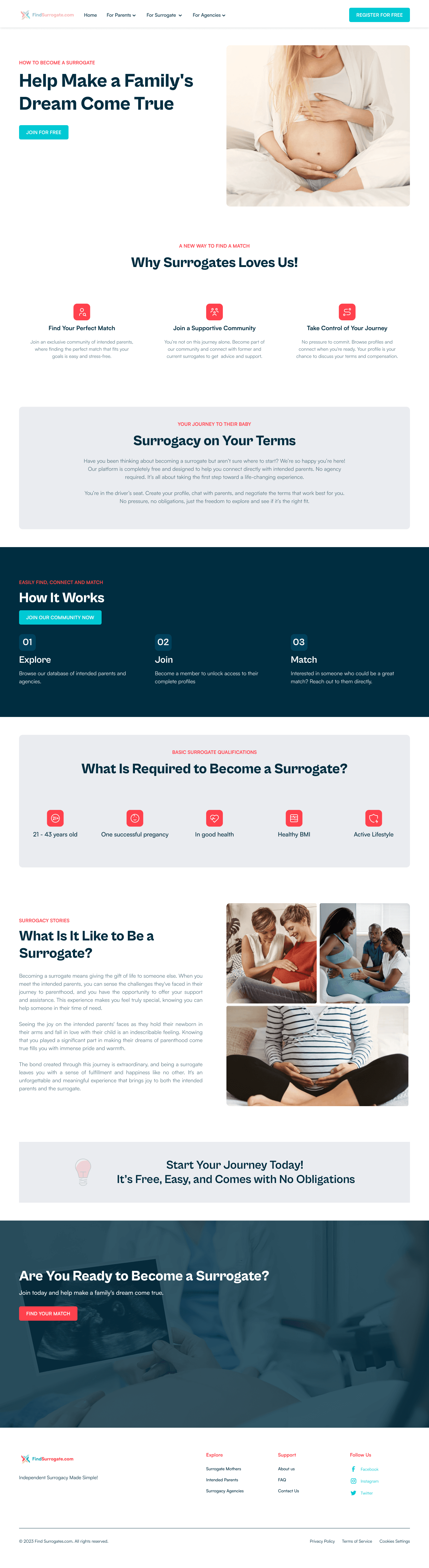 Find Surrogate surrogate page
