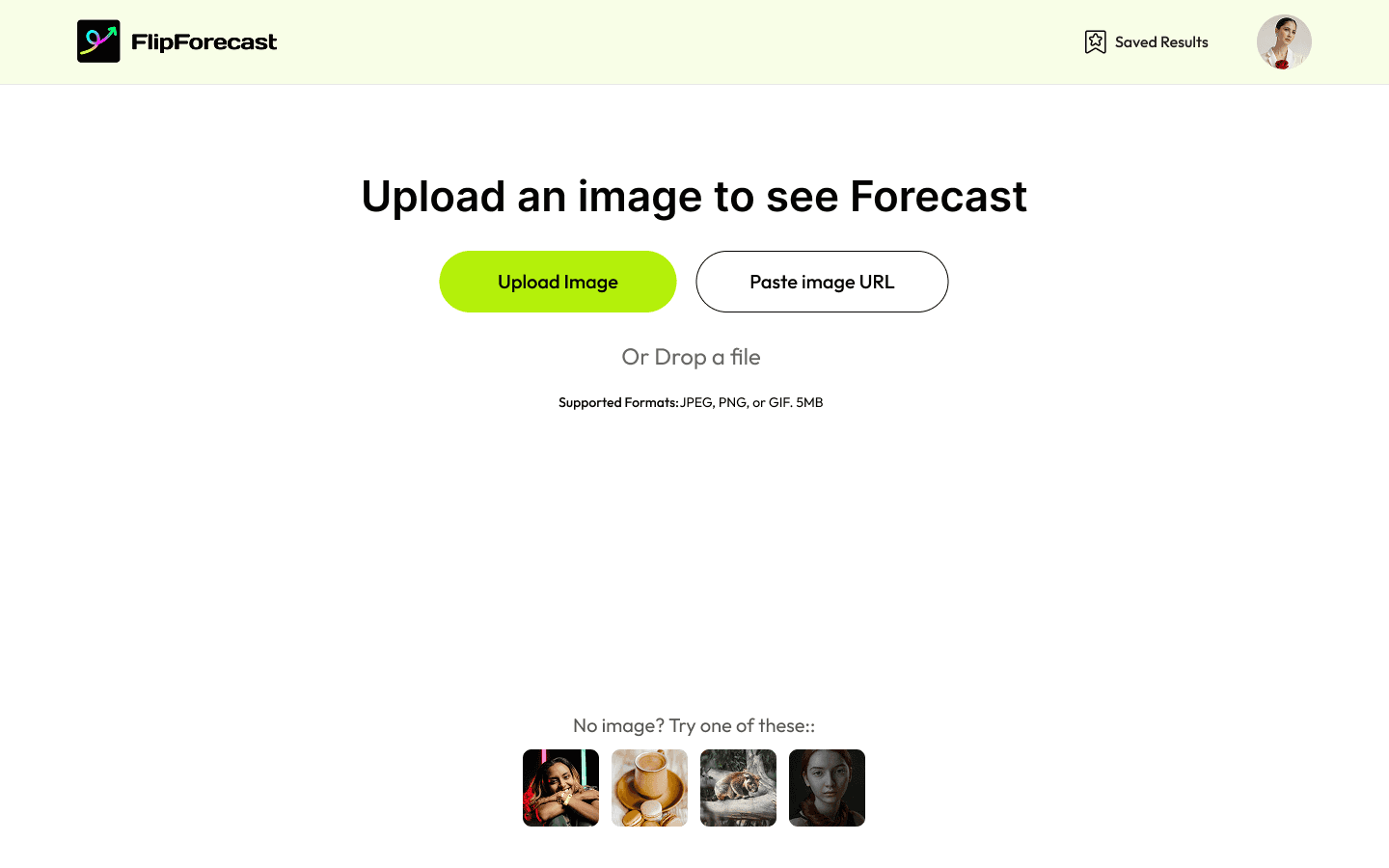 FlipForecast